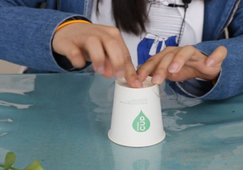 水培绿萝怎么移栽土培3