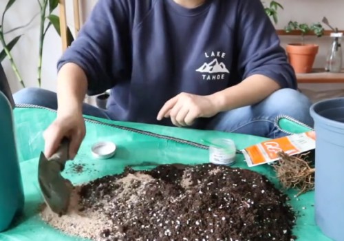 裸根茉莉种植方法2
