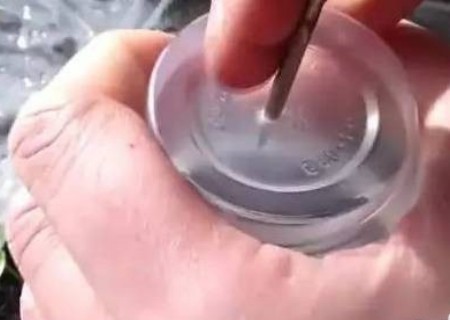百香果籽怎么种小盆栽4