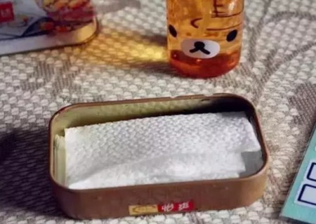 苹果自制小盆栽植物5