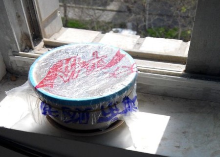 自制红豆小盆栽（图解）4