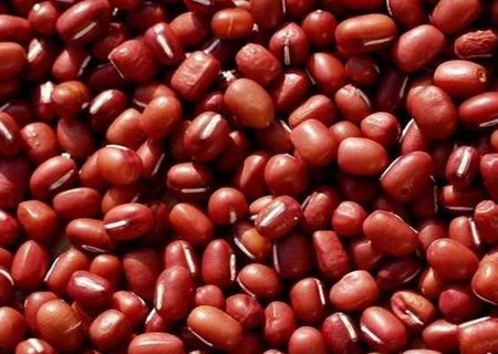 自制红豆小盆栽（图解）2