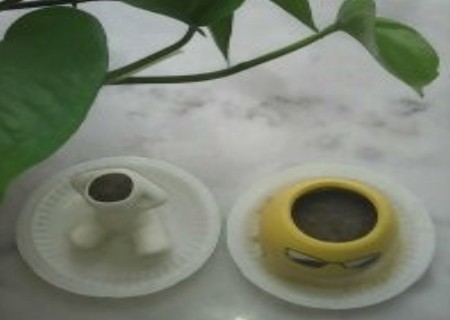 小草盆栽种植方法1