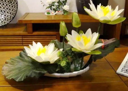 睡莲盆栽方法