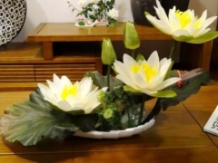 睡莲盆栽方法
