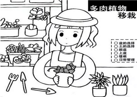 多肉植物移栽方法图解2