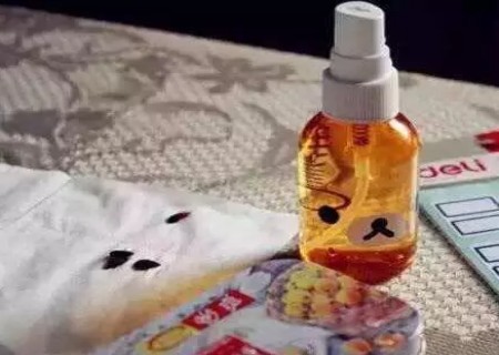 苹果籽怎么种小盆栽2