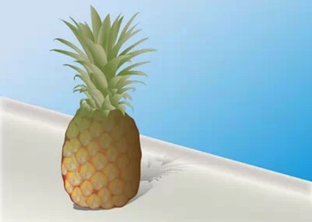 菠萝盆栽方法1