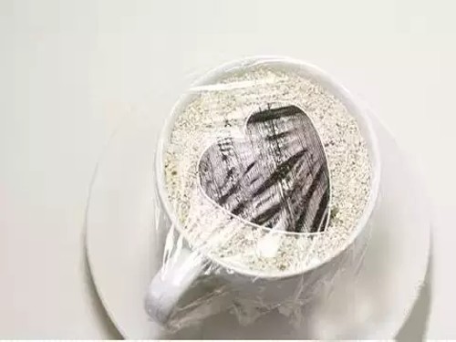 火龙果种子盆栽种植方法11