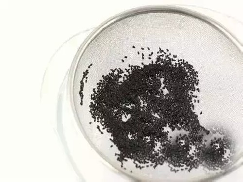 火龙果种子盆栽种植方法5