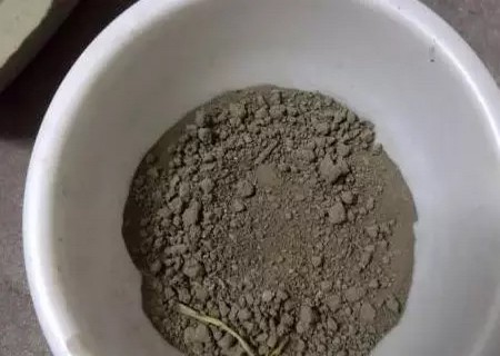 盆栽吊兰移植方法2