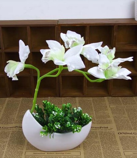 蕙兰花盆景图片