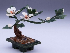 玉兰花花语、寓意及传说