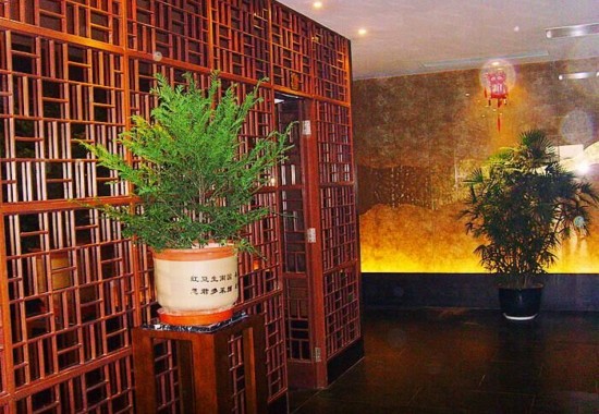 秋枫树桩盆景种养方法1