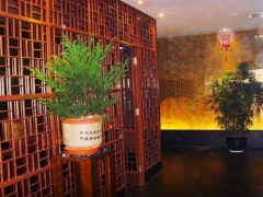 秋枫树桩盆景种养方法