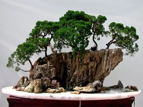 山水盆景怎样养护