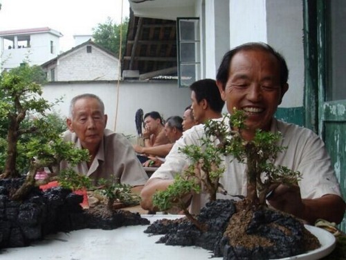 多面观赏艺术效果的山石盆景