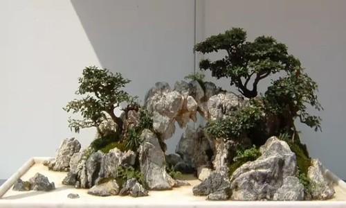 山水盆景的制作过程中石料的粘接方法3