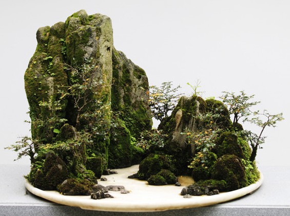 怎样给山水盆景命名3