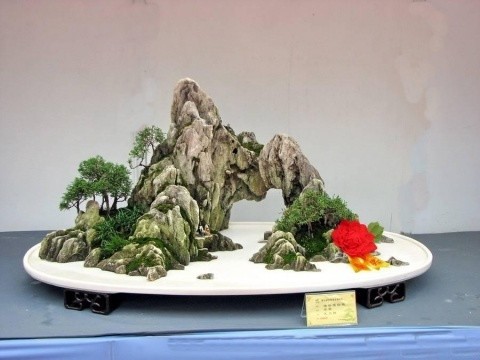 散点石在山水盆景中的作用3