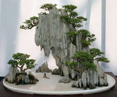 运用散点石布局制作山水盆景时的注意事项1