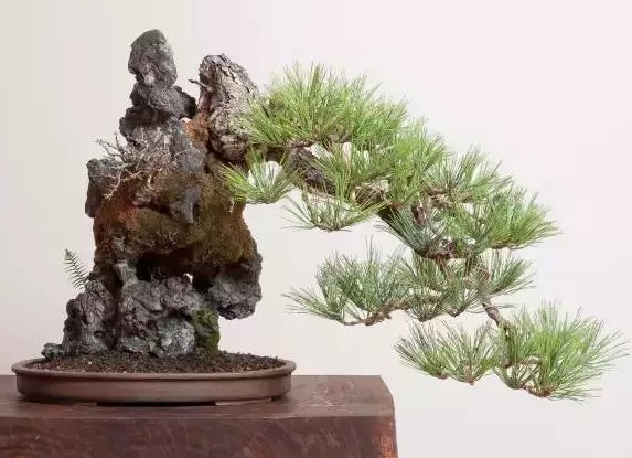 制作山水盆景怎样加工材料