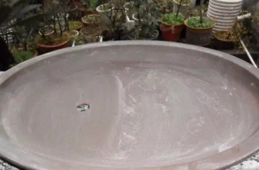 教你用美人梅制作水旱盆景3