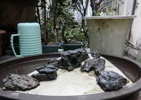 废弃地板砖也能制作精美水旱盆景9
