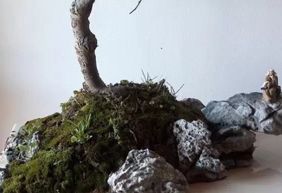 废弃地板砖也能制作精美水旱盆景7