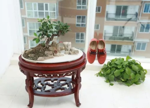 水旱盆景的石料选择4