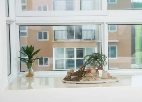 水旱盆景的石料选择5