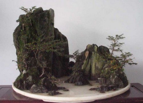 水旱盆景制作步骤6