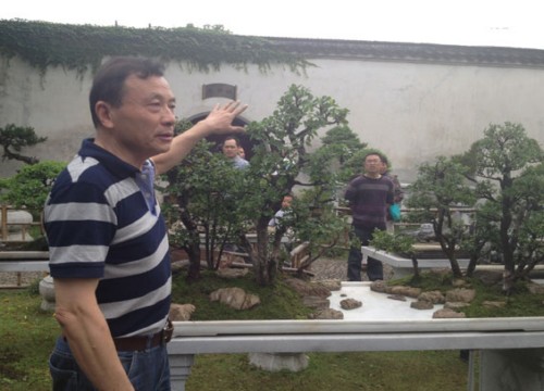 如何制作水旱盆景1