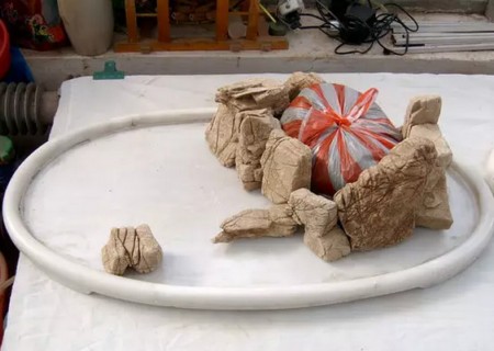 树石水旱盆景制作方法图解3