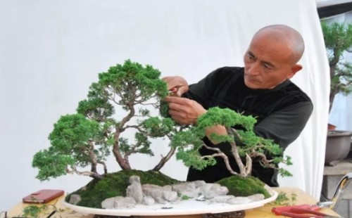 水旱盆景制作基本步骤