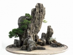 水旱盆景制作要点