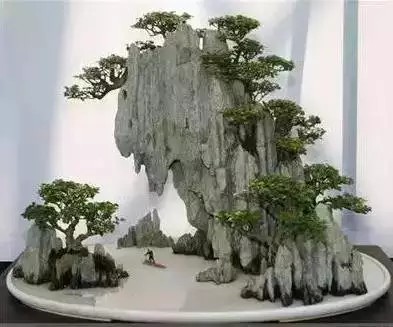 树木附石盆景8