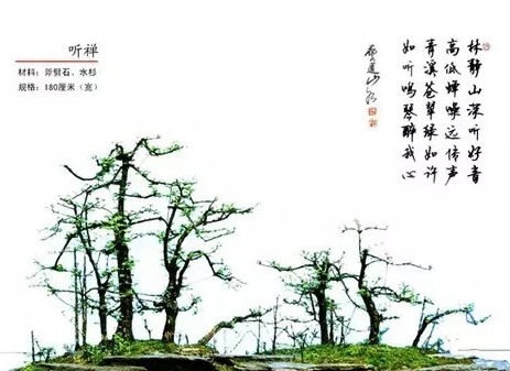 如何制作具有多面观赏艺术效果的山石盆景1