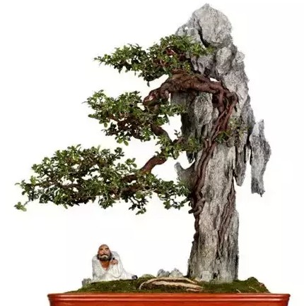 桩景附石盆景集锦11