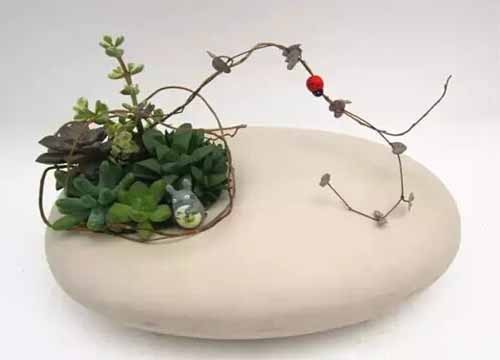 飞鸟鱼多肉植物微观盆景3