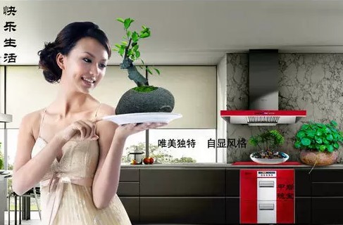 微小型盆景养护管理方法1