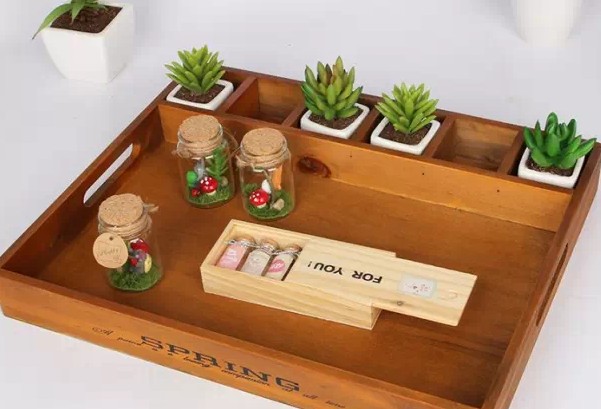 家居设计中不可或缺的微型盆栽植物2