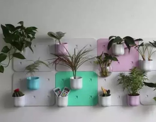文艺素朴的创意小壁挂植物3