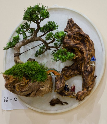 挂壁式盆景制作要点3