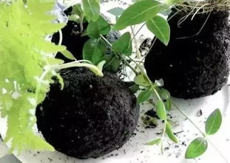 悬挂式盆景DIY制作方法5