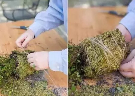 悬挂式盆景DIY制作方法6