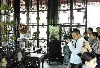 苏州拙政园将推出小品盆景特展