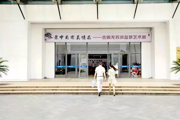 吉佩龙苏派盆景艺术展开幕1