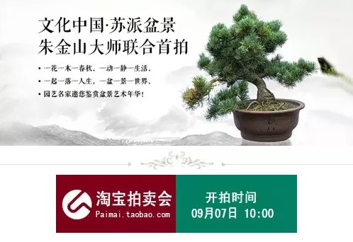 文化中国·苏派盆景大师联合首拍作品1