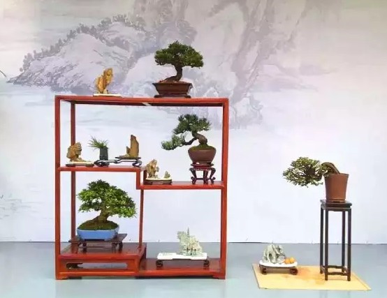 苏州园林盆景精品展4